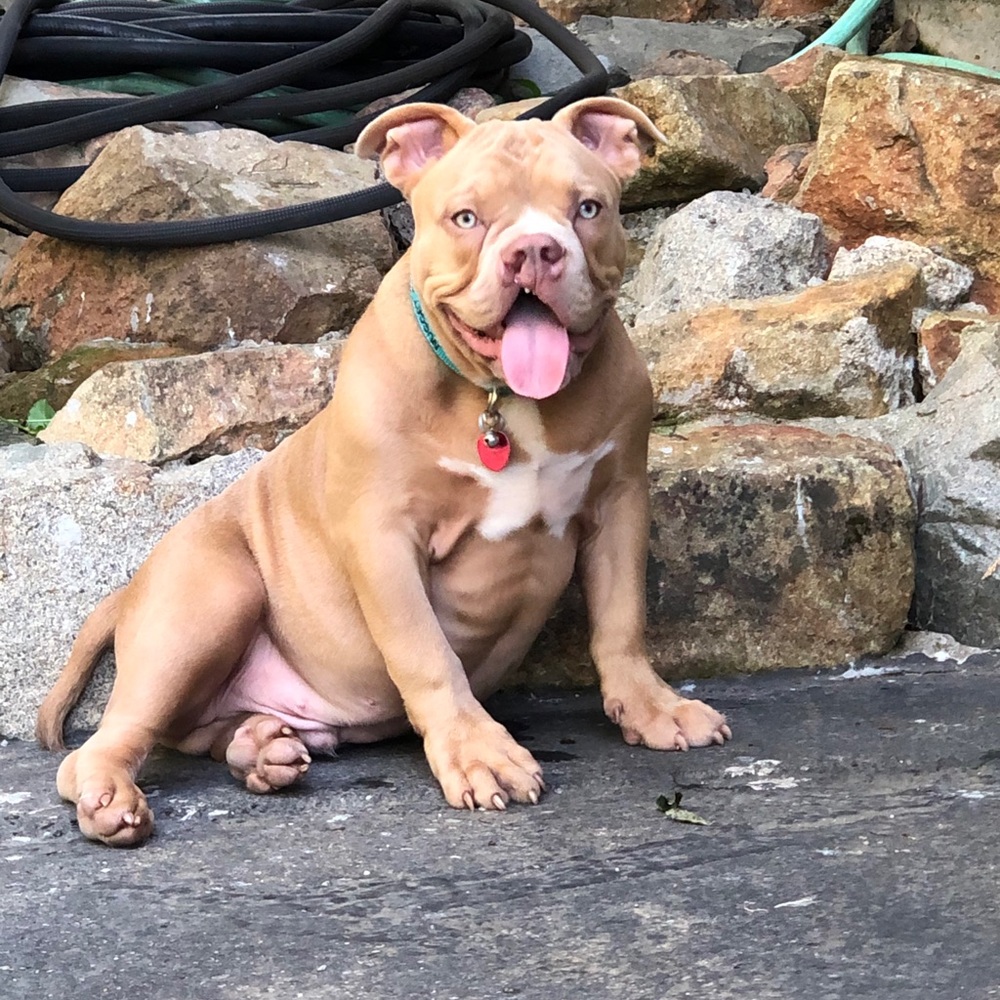 Meet your Posher, Monica